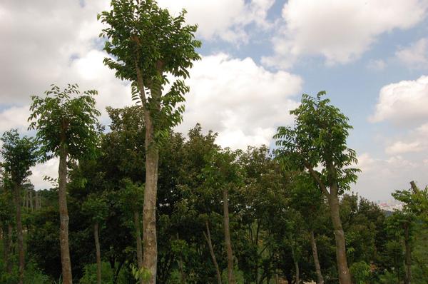 t01be8e21e628b5b8f3 t01be8e21e628b5b8f3