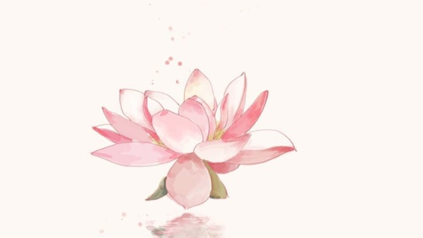 b7e92f35gw1f0fbjlbnvbj20vj0hs74x b7e92f35gw1f0fbjlbnvbj20vj0hs74x