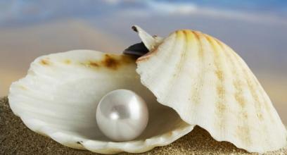 u=1886948080,2703399898&fm=21&gp=0 u=1886948080,2703399898&fm=21&gp=0