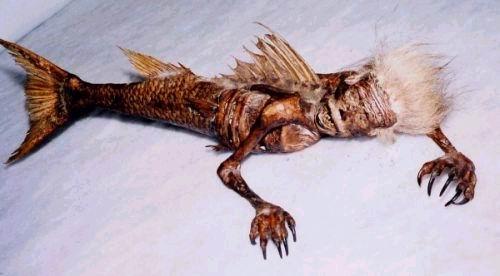 4272227196514782267 4272227196514782267