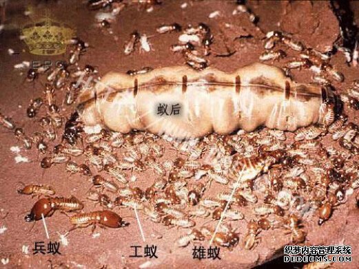 1-150409104G0416 1-150409104G0416