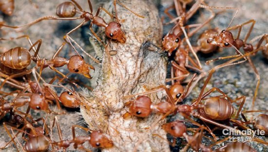 8P5POU17NU9T 8P5POU17NU9T