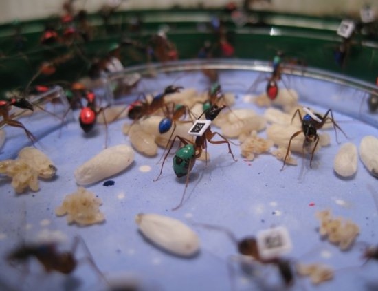 131104214447-6223-0 131104214447-6223-0