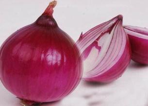 u=1533715954,1641822527&fm=21&gp=0 u=1533715954,1641822527&fm=21&gp=0