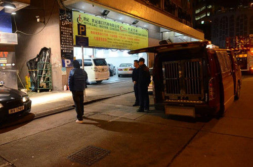 A0CA0ED37B9AF4259BAF3D906ADA0508 A0CA0ED37B9AF4259BAF3D906ADA0508