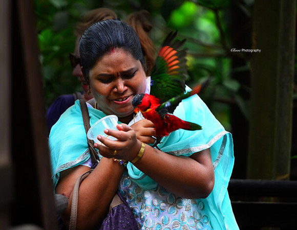 完爆!10条世间最奇葩的离婚理由