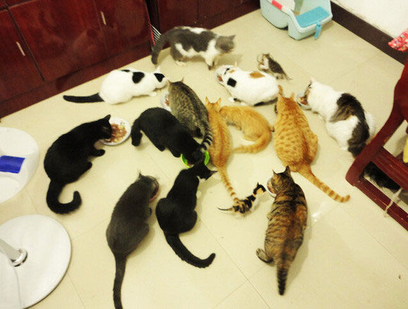 完爆！10条世间最奇葩的离婚理由