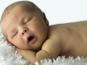 u=3566474346,3262037695&fm=21&gp=0 u=3566474346,3262037695&fm=21&gp=0