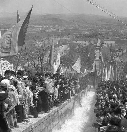 QQ图片20160222101008 QQ图片20160222101008