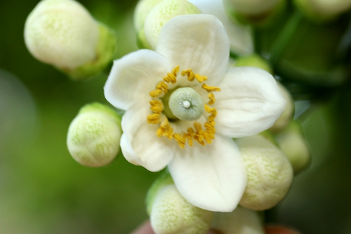 W020140228342251506651 W020140228342251506651