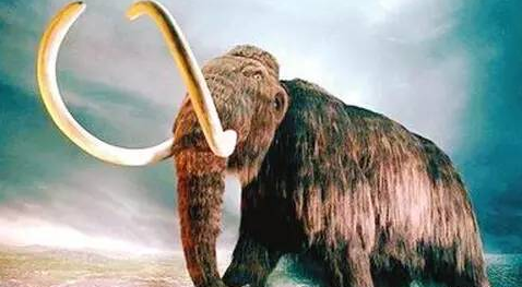 QQ图片20160222112856 QQ图片20160222112856