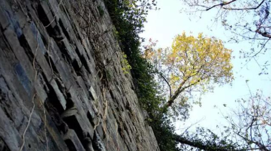 QQ图片20160222152818 QQ图片20160222152818