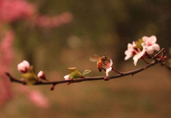 春天养生要做的7件事