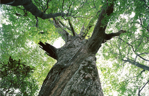 200794112847933_2_副本 200794112847933_2_副本