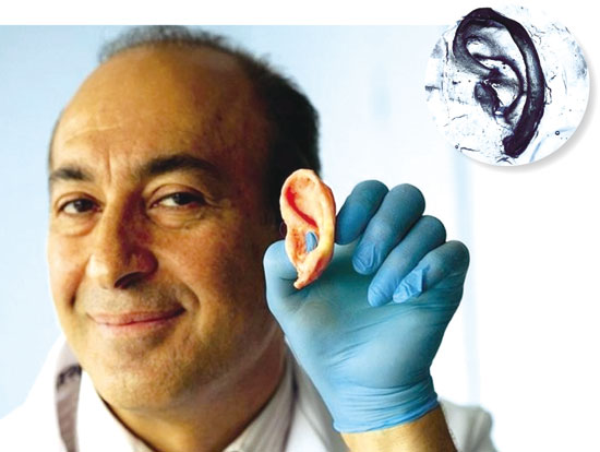 20120517sf 20120517sf