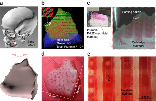 1455881883144586 1455881883144586
