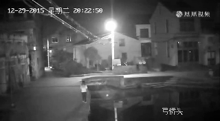 女子玩手机坠河身亡 从挣扎溺水仅90秒