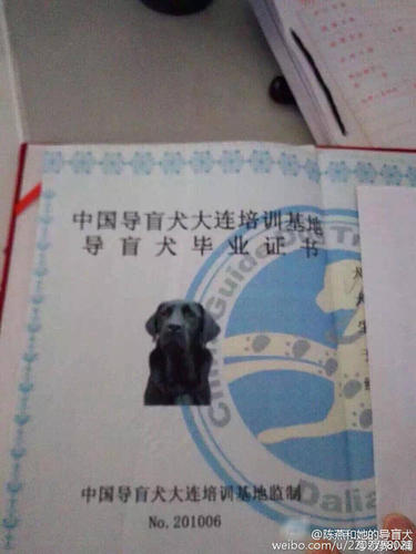 记者获悉，公安部门正在全力调查中。图为乔乔的毕业证。