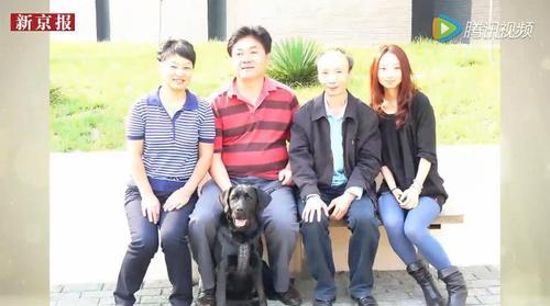 昨日（2月22日）上午，微博、朋友圈，到处都在转发这条消息，大家在找寻一条名为“乔乔”的导盲犬。 图为导盲犬乔乔和主人田凤波在一起。