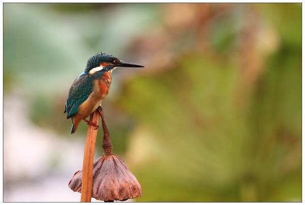 1927167tun0pu0ndncnpxx 1927167tun0pu0ndncnpxx