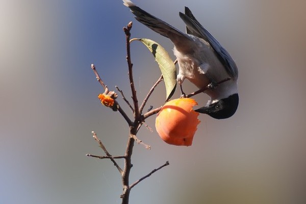 mmexport1392297989056 mmexport1392297989056