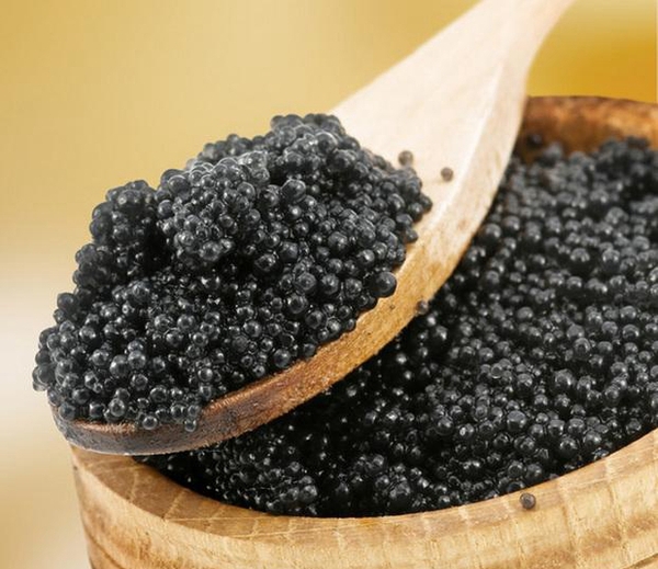 B20160224005-zx6 B20160224005-zx6