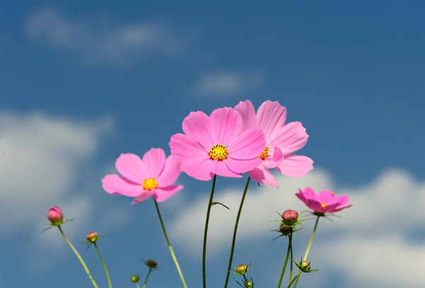 QQ截图20160224095315 QQ截图20160224095315