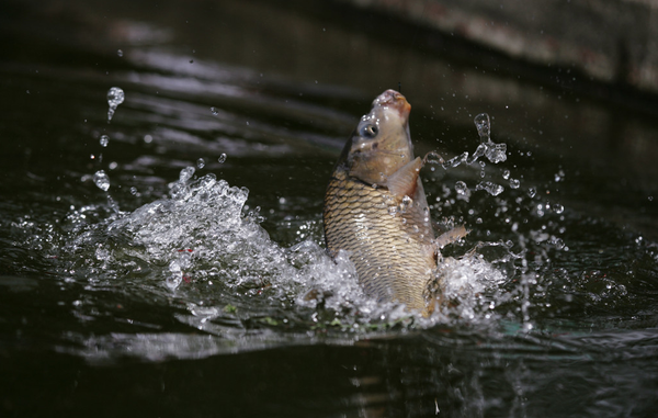 QQ图片20160224100227 QQ图片20160224100227