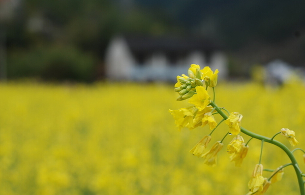 QQ截图20160224113032 QQ截图20160224113032