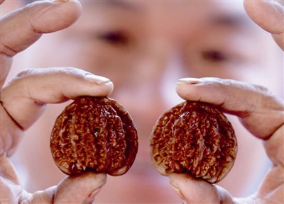 63231375720632953 63231375720632953