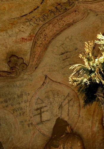 186669_500x500 186669_500x500