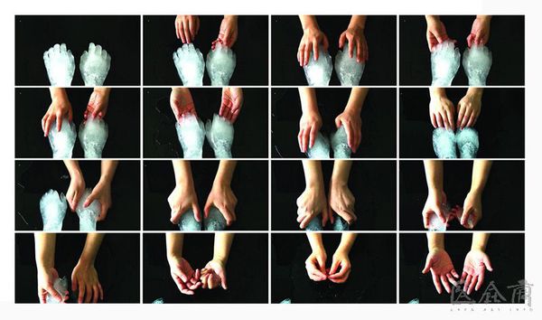 20138221650110 20138221650110