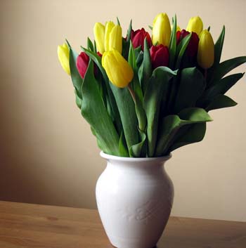 MAIN201602241411558443769029677 MAIN201602241411558443769029677