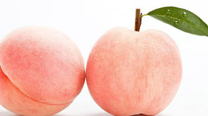 MAIN201602251401092169891757030 MAIN201602251401092169891757030