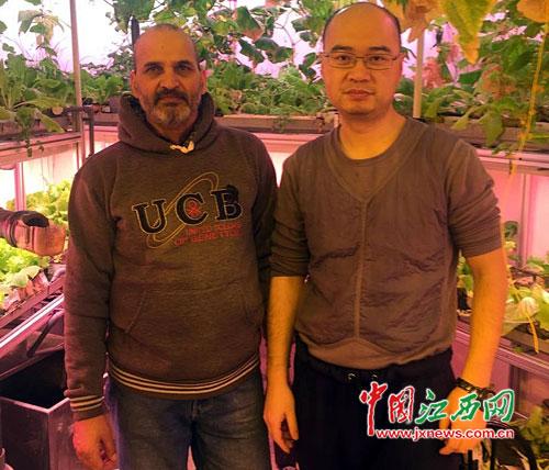 江西医生在南极种出蔬菜(图)