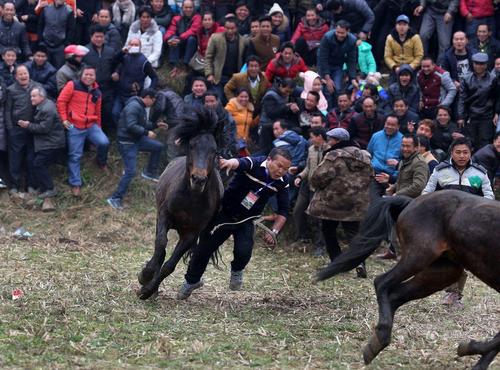 斗红眼的马一个人根本就拦不下来。