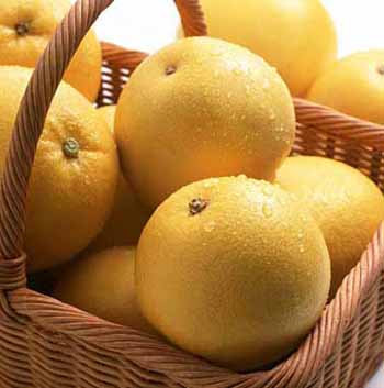 MAIN201602261412186986430822535 MAIN201602261412186986430822535