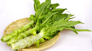 MAIN201602261416515232260368066 MAIN201602261416515232260368066