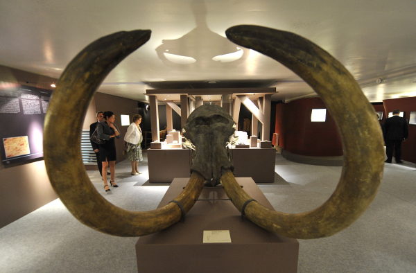 8-150Q41125234S 8-150Q41125234S