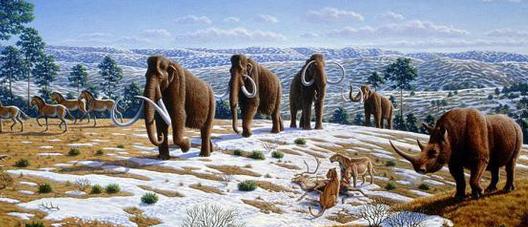 20150817101520_0586 20150817101520_0586