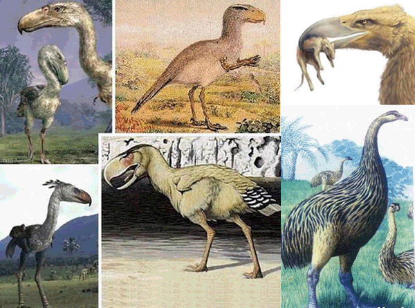 20110622161748661 20110622161748661