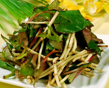 鱼腥草芦根汤能清痰