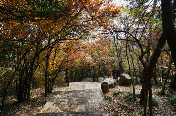 6608680609446145302 6608680609446145302