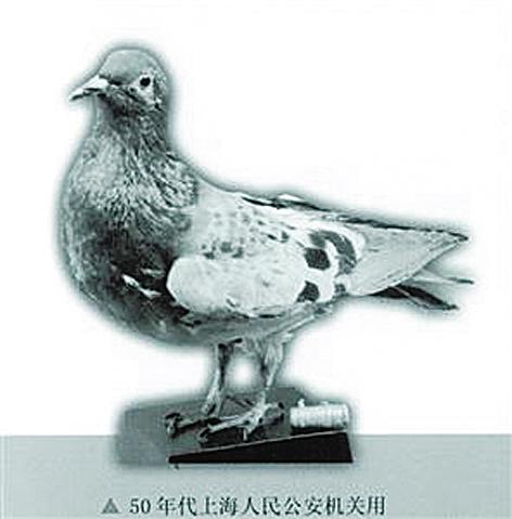 1279306506 1279306506