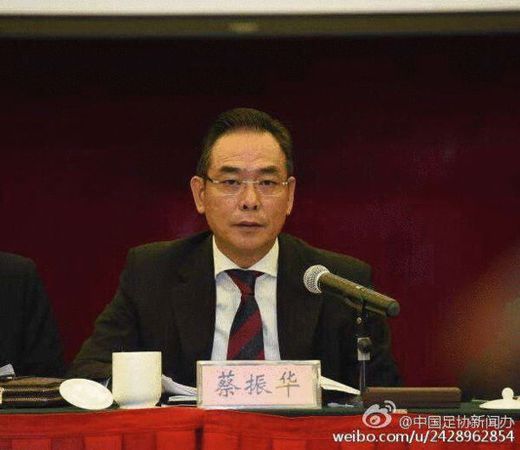 足协主席蔡振华:争取年底公布足协财务状况 足协主席蔡振华:争取年底公布足协财务状况