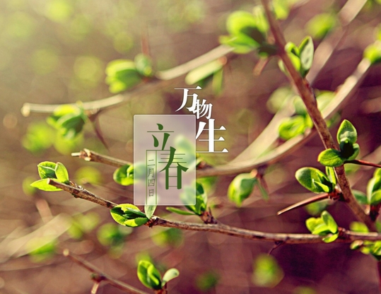 6d3db817812e1fc9c30ba9a57791dafa 6d3db817812e1fc9c30ba9a57791dafa