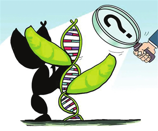 研究:食物真的会影响我们的基因