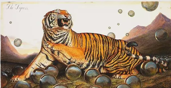 李奥纳多收藏的沃尔顿·福特，《老虎》（2013） 图片：paulkasmingallery.com