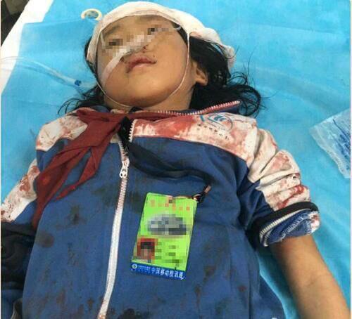 海南男子持刀砍伤十名学生后自杀身亡