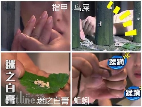 20160225110353536 20160225110353536